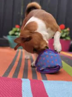 Jouet distributeur de friandises pour chien - KONG Ballistic Hide 'n Treat (M)