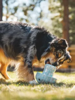Jouet distributeur de friandises pour chien - Porcini (3 coloris)
