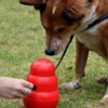 Jouet distributeur de friandises pour chien - KONG Wobbler