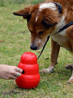 Jouet distributeur de friandises pour chien - KONG Wobbler