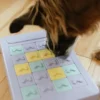 Jouet d'occupation et de réflexion pour chien - Panel slider 🧩 - ZippyPaws