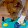 Jouet d'occupation pour chien - Puzzler - ZippyPaws