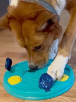 Jouet d'occupation pour chien - Puzzler - ZippyPaws