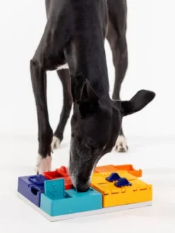 Jouet d’occupation pour chien – Kit Avancé Genius (7 modules) - Pawzler