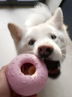 Jouet d'occupation pour chien - Yoomy Donut 🍩 - Rose