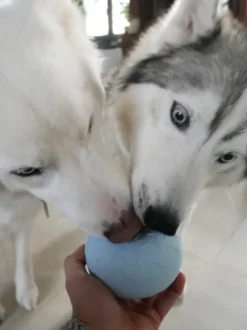 Jouet d'occupation pour chien - Yoomy Donut 🍩 - Bleu