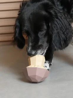 Jouet d'occupation pour chien - Super Veggiez Champignon 🍄‍🟫 - Zee.dog