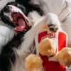 Jouet d'occupation pour chien original - Popcorn 🍿 - ZippyPaws