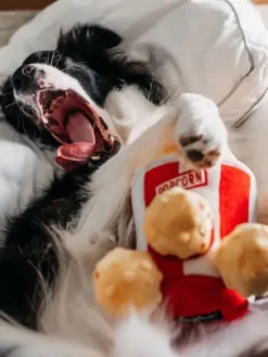 Jouet d'occupation pour chien original - Popcorn 🍿 - ZippyPaws
