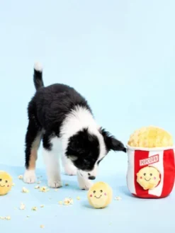 Jouet d'occupation pour chien original - Popcorn 🍿 - ZippyPaws