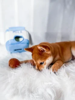 Jouet d'occupation pour chien original - Milk et Cookies - ZippyPaws