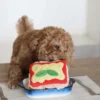 Jouet d'occupation pour chien - Lasagnes 🍝 - Pups & Bubs