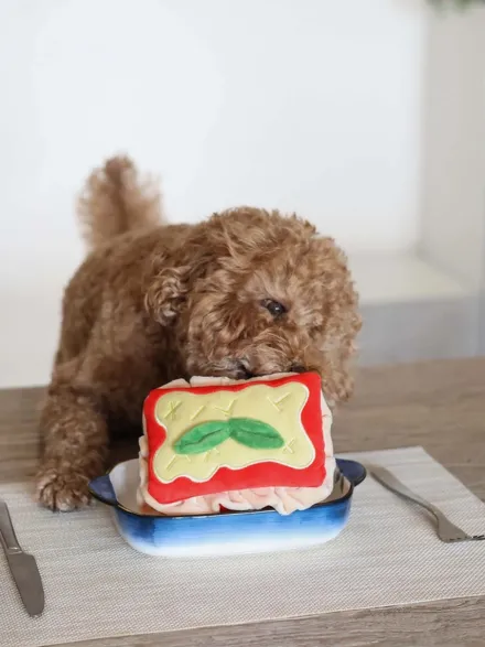 Jouet d'occupation pour chien - Lasagnes 🍝 - Pups & Bubs