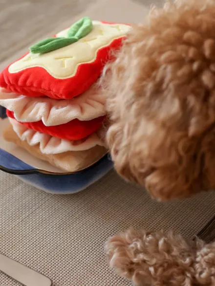 Jouet d'occupation pour chien - Lasagnes 🍝 - Pups & Bubs