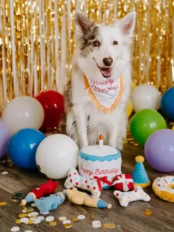Jouet d'occupation pour chien - Gâteau d'anniversaire