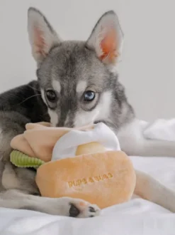 Jouet d'occupation pour chien - Pita 🥙 - Pups & Bubs
