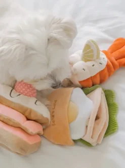 Jouet d'occupation pour chien - Pita 🥙 - Pups & Bubs