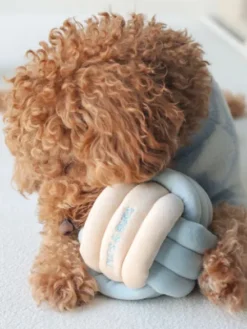 Jouet d'occupation pour chien - Snuffle Knot 🧶 - Pups & Bubs