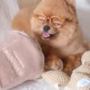 Jouet d'occupation pour chien - Pop Corn 🍿 - Pups & Bubs