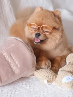 Jouet d'occupation pour chien - Pop Corn 🍿 - Pups & Bubs