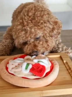Jouet d'occupation pour chien - Pizza 🍕 - Pups & Bubs