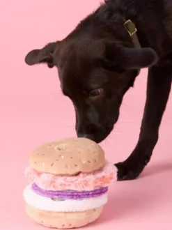 Jouet d'occupation pour chien - Bagel 🥯 - The Foggy Dog
