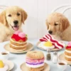 Jouet d'occupation pour chien - Pancakes 🥞 - The Foggy Dog