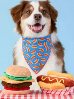 Jouet d'occupation pour chien - Hot Dog 🌭 - The Foggy Dog