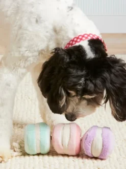 Jouet d'occupation pour chien - Macarons ❤️ - The Foggy Dog