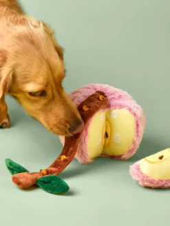 Jouet d'occupation pour chien - Pomme 🍎 - The Foggy Dog