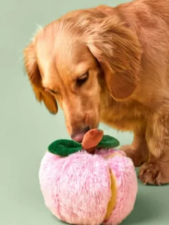 Jouet d'occupation pour chien - Pomme 🍎 - The Foggy Dog