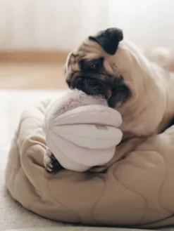 Jouet d'occupation pour chien - Toto - Rose