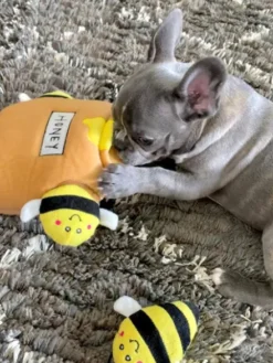 Jouet d'occupation pour chien original - Pot de miel 🍯🐝 - ZippyPaws