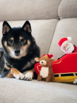 Jouet d'occupation pour chien - Traineau du Père Noël - ZippyPaws