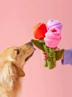Jouet d'occupation pour chien - Bouquet de fleurs XL 💐 - The Foggy Dog