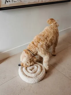 Jouet d'occupation pour chien - SWIRL Snuffle Mat Rose - District 70