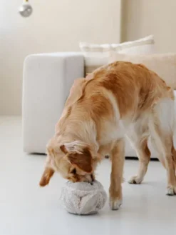 Jouet d'occupation pour chien - BOBBY Snuffle ball Rose - District 70