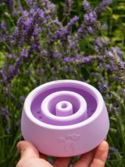 Jouet d'occupation pour chien - Yoomy Wobble 🫨 Lavender - inooko