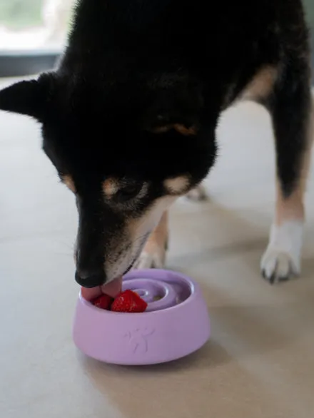 Jouet d'occupation pour chien - Yoomy Wobble 🫨 Lavender - inooko