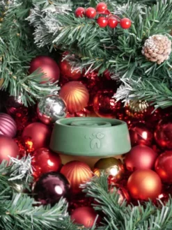 Jouet d'occupation pour chien - Yoomy Wobble 🫨 - Edition limitée de Noël Vert Sapin