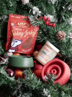 Jouet d'occupation pour chien - Yoomy Wobble 🫨 - Edition limitée de Noël Rouge