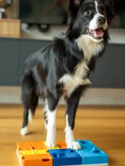 Jouet d’occupation pour chien – Kit Intermédiaire Rainbow (8 modules) - Pawzler
