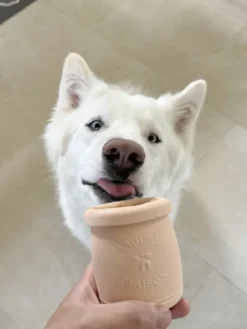 Jouet d'occupation à remplir pour chien - Yoomy Pot Sage - inooko