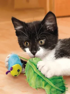 Jouet en forme de chenille pour chat - KONG Flingaroo CATerpillar