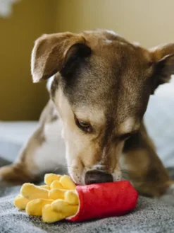 Jouet en peluche pour chien - American Classic - Frites