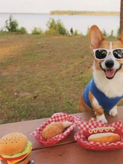 Jouet en peluche pour chien - American Classic - Hot dog