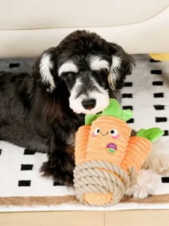 Jouet en peluche pour chien avec corde - Carotte 🥕 - HugSmart