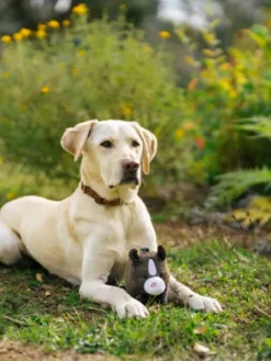 Jouet en peluche pour chien - Barnyard Buddies Cheval 🐴 - Pet PLAY