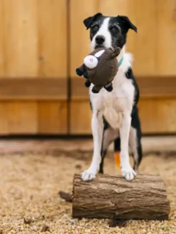 Jouet en peluche pour chien - Barnyard Buddies Cheval 🐴 - Pet PLAY