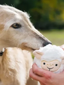 Jouet en peluche pour chien - Barnyard Buddies Mouton 🐑 - Pet PLAY